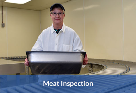Meat Inspection Image