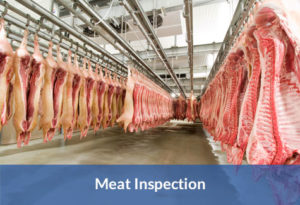 Meat Inspection