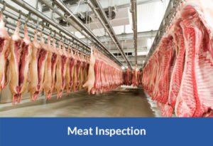 Meat Inspection